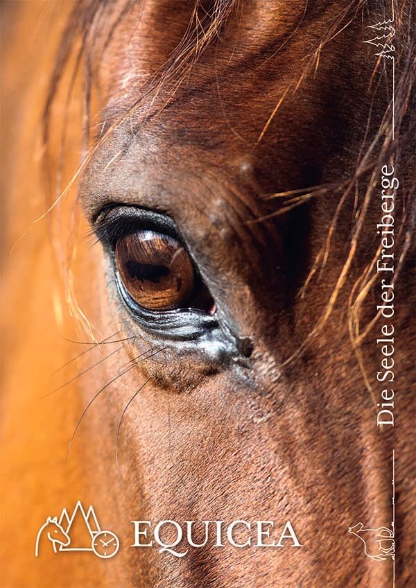 Equicea