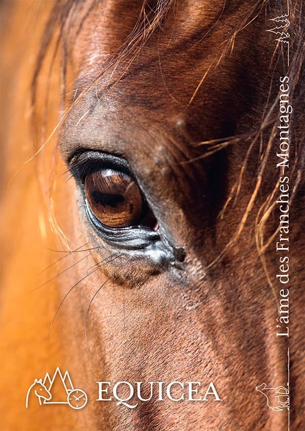 Equicea